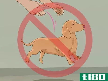 Image titled Hold a Dachshund Properly Step 8