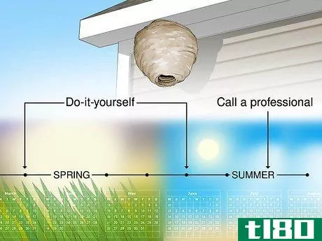 Image titled Get Rid of Wasp Nests in Your Roof Step 2