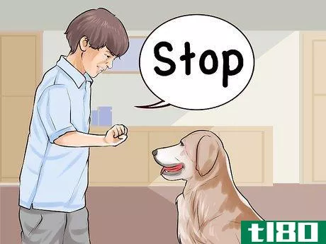 Image titled Involve Your Kids in Selecting a Dog Step 12