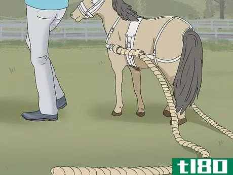 Image titled Keep a Miniature Horse Fit Step 13