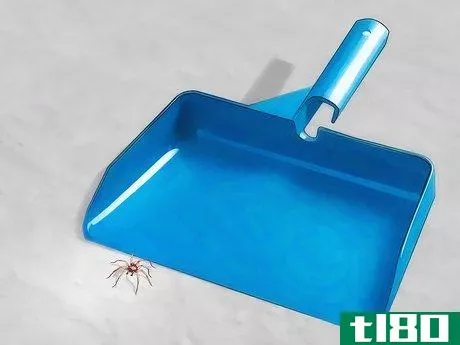 Image titled Get Spiders Out of Your House Without Killing Them Step 13