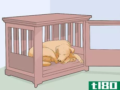 Image titled Handle Sleep Aggression in Senior Dogs Step 6