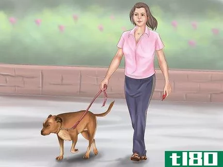 Image titled Keep Your Dog or Cat at Its Correct Weight Step 6