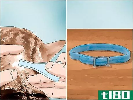 Image titled Get Rid of Fleas Step 5