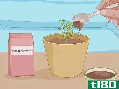 Image titled Grow Plants Faster Step 15