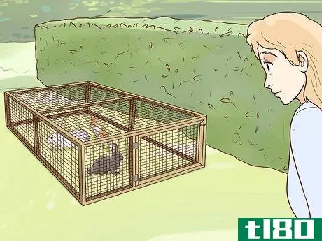 Image titled Keep Pet Rabbits Safe Step 5