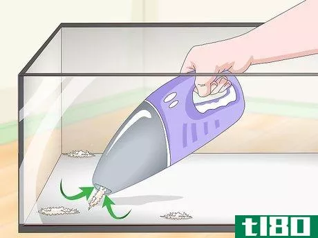 Image titled Get Rid of Mites on Snakes Step 9