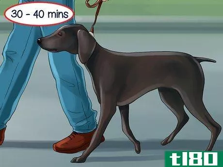 Image titled Give Your Dog Healthy Attention Step 5