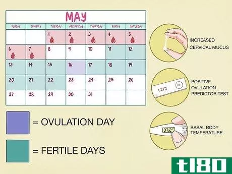 Image titled Use a Fertility Calendar Step 4