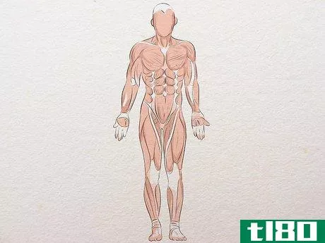 Image titled Learn Anatomy for Drawing Step 5