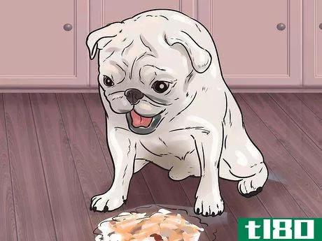 Image titled Help a Dog Who Has Canine Epilepsy Step 13