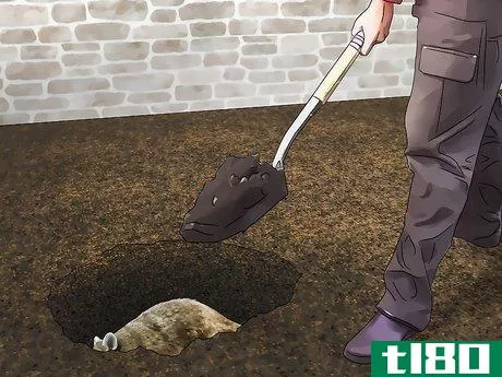 Image titled Kill Raccoons Step 6