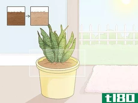 Image titled Get Rid of Mold on Houseplants Step 2