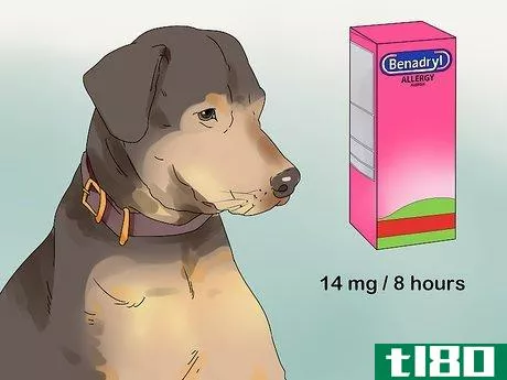 Image titled Give a Dog Benadryl Step 1