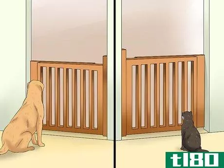 Image titled Introduce an Older Cat to a New Dog Step 9