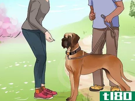 Image titled Improve Your Dog's Show Ring Gait Step 9