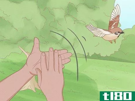 Image titled Get Rid of Birds Step 5
