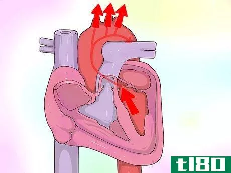 Image titled Interpret Echocardiograms Step 2