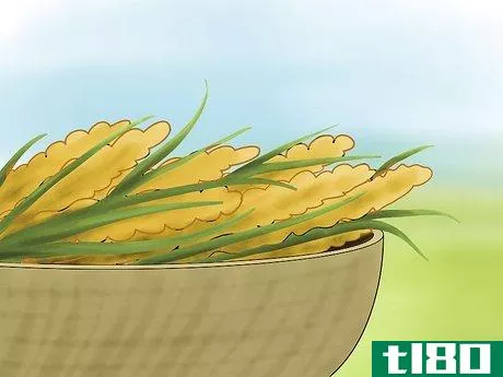 Image titled Grow Millet Step 9