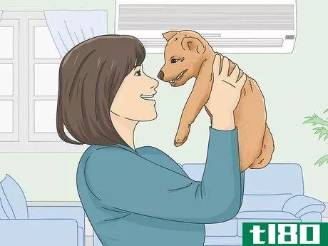 Image titled Get a Puppy to Stop Growling when You Pick Them Up Step 3
