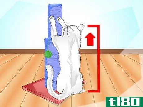 Image titled Get Your Cat to Use a Scratching Post Step 1
