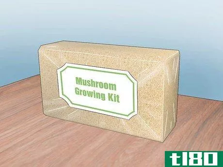 Image titled Grow Hydroponic Mushrooms Step 1