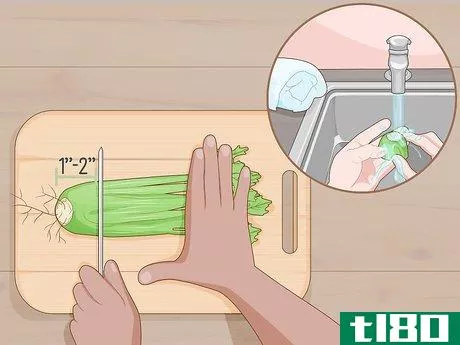 如何用茎种芹菜(grow celery from a stalk)