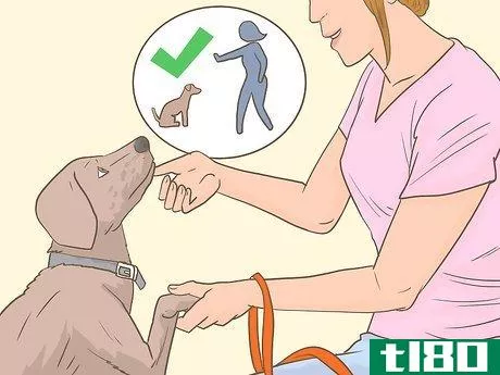 Image titled Get an Emotional Support Animal Letter Step 12