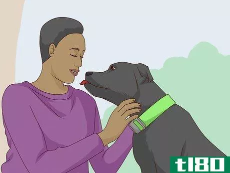 Image titled Get Your Dog Used to a Collar Step 4
