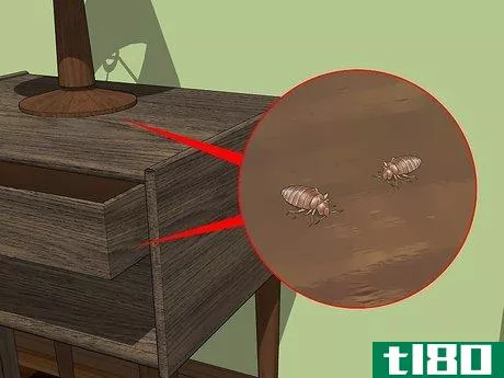 Image titled Identify Bed Bug Bites Step 8