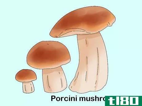 Image titled Identify Edible Mushrooms Step 7