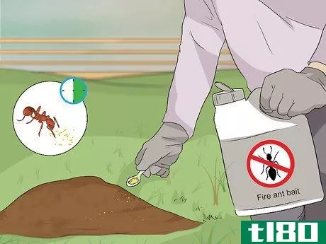 Image titled Get Rid of Fire Ants Step 1