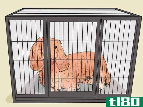 Image titled Keep Your Dog from Being Exposed to Household Poisons Step 13