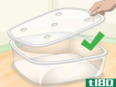 Image titled Get Rid of Mites on Snakes Step 1