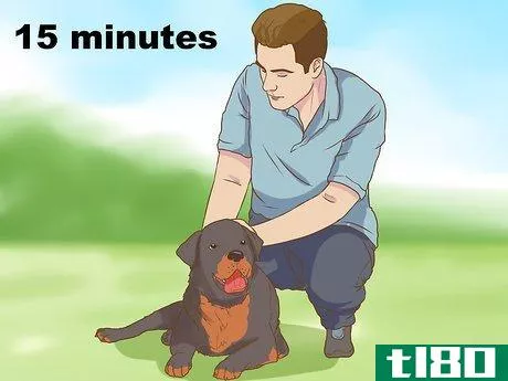 Image titled Help a Pet Grieve Step 3