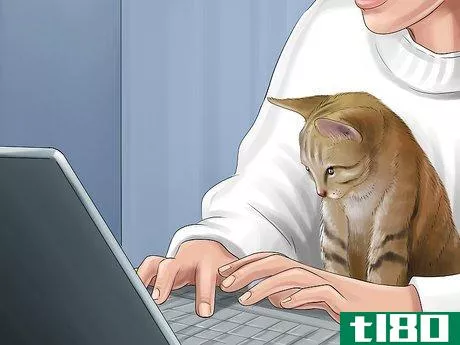 Image titled Get Your Cat to Stop Jumping on Your Keyboard Step 16
