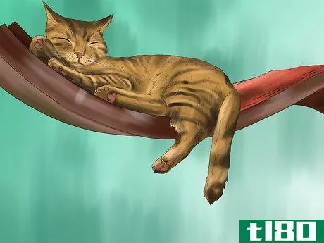 Image titled Give Your Cat Cozy Sleeping Spaces Step 11