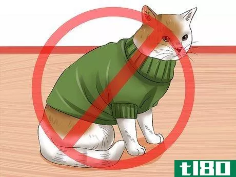 Image titled Have Cats Without Being a Cat Lady Step 10