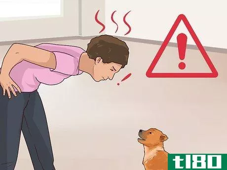 Image titled Get an Uninterested Puppy Excited for Training Step 4