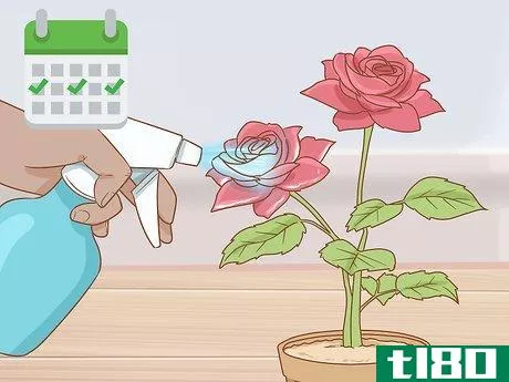 Image titled Grow Long Stem Roses at Home Step 16