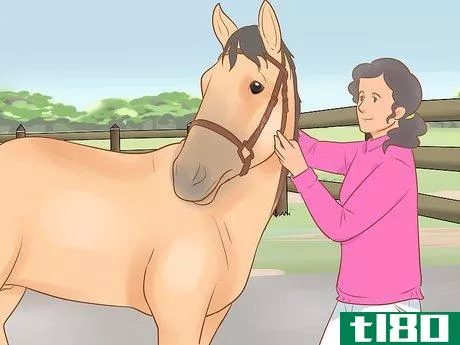 Image titled Halter an Unruly Horse Step 12