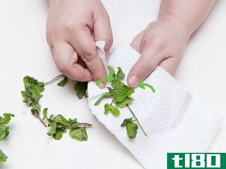 Image titled Get Rid of Acne Using Mint Leaves Step 2