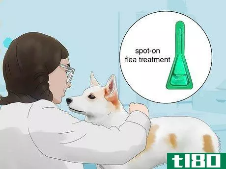 Image titled Get Rid of Fleas in the House Fast Step 10
