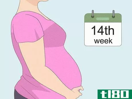 Image titled How Many Weeks Does It Take to Tell if You're Having a Boy or Girl Step 1