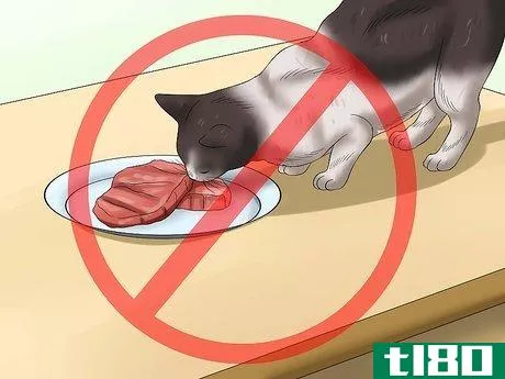 Image titled Keep Cats off the Dinner Table Step 4
