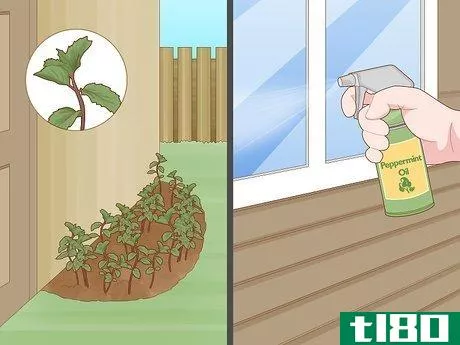 Image titled Get Rid of Rats Without Harming the Environment Step 10