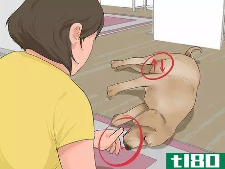 Image titled Give First Aid to an Electrocuted Animal Step 3