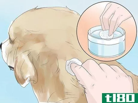 Image titled Inject a Microchip Into a Pet Step 7