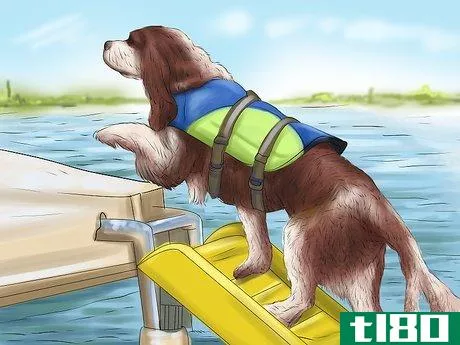 Image titled Keep Your Dog Safe on a Boat Ride Step 9