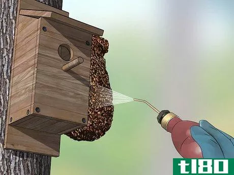 Image titled Keep Bees Out of Birdhouses Step 1